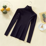 Knit Sweater Women Turtleneck