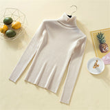 Knit Sweater Women Turtleneck