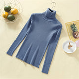 Knit Sweater Women Turtleneck