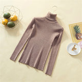 Knit Sweater Women Turtleneck