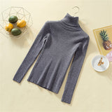 Knit Sweater Women Turtleneck