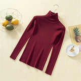 Knit Sweater Women Turtleneck