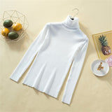 Knit Sweater Women Turtleneck