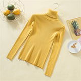 Knit Sweater Women Turtleneck